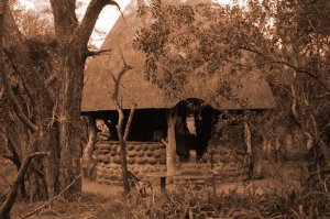 western African cottage